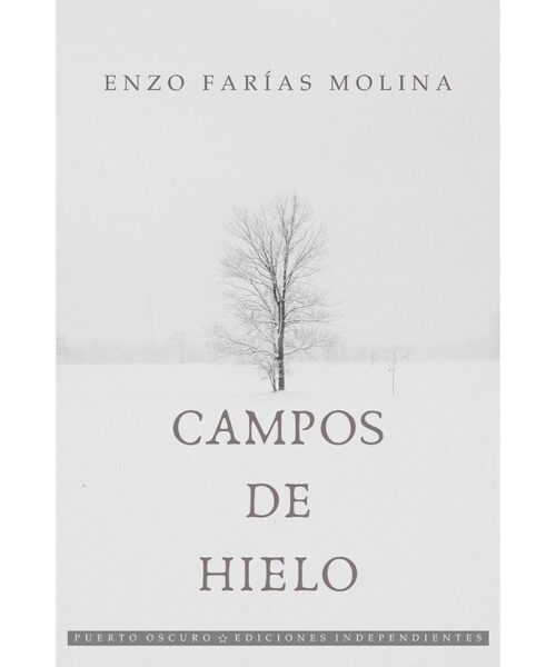 Campos de Hielo | Enzo Farías Molina | Libro