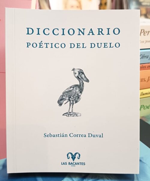 Diccionario Poético del Duelo